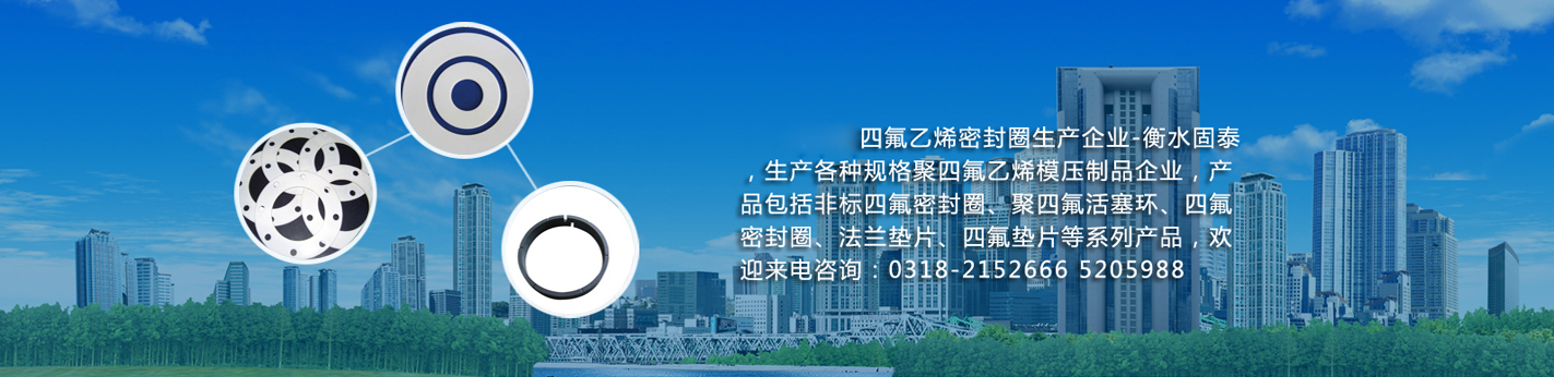 衡水固泰密封制品有限公司